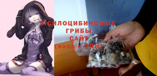 гашик Алексеевка