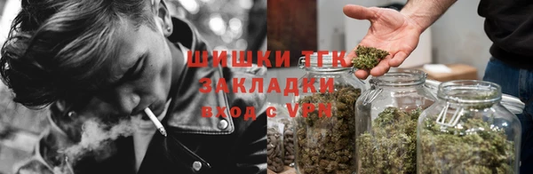 сатива Алексин