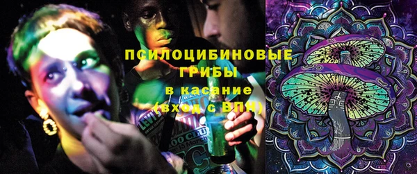 гашик Алексеевка