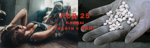 ГАЛЛЮЦИНОГЕННЫЕ ГРИБЫ Алзамай