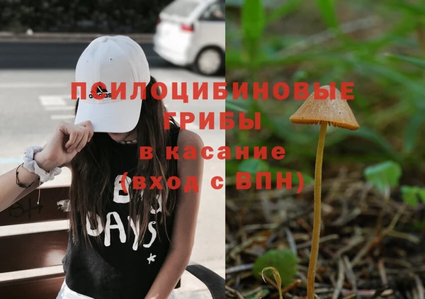 сатива Алексин
