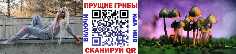 Псилоцибиновые грибы ЛСД Бодайбо